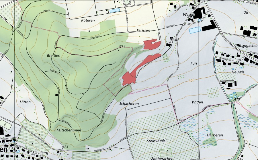 swisstopo national map showing the protected perimeter of Bleiki (Dry meadow)