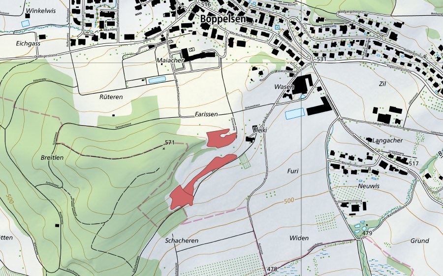 swisstopo national map showing the protected perimeter of Bleiki (Dry meadow)