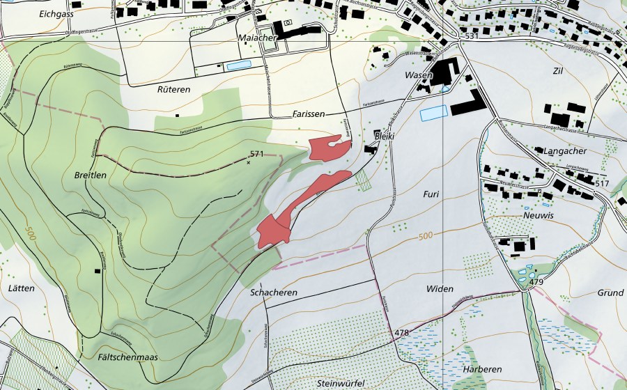 swisstopo national map showing the protected perimeter of Bleiki (Dry meadow)