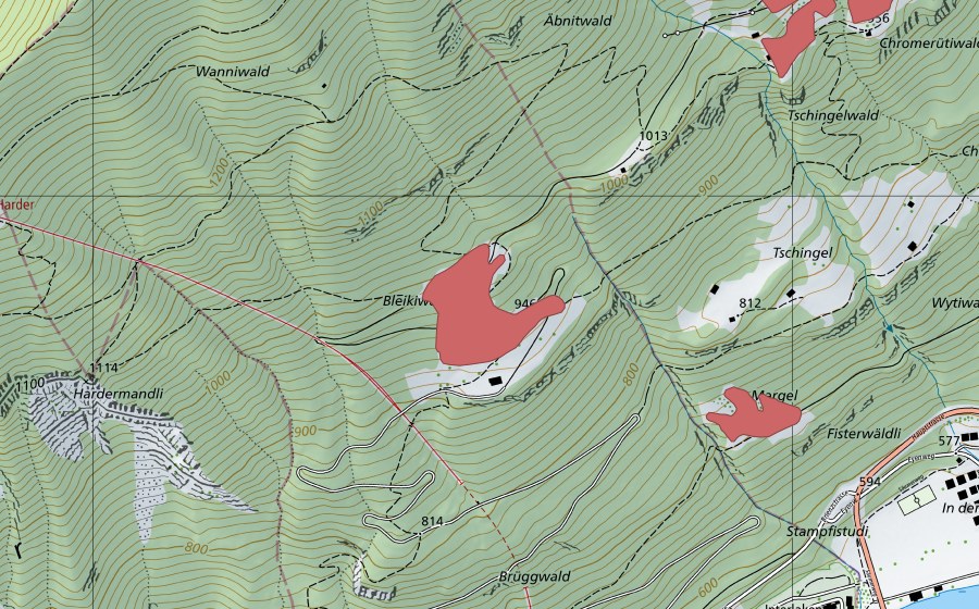 Landeskarte swisstopo mit dem Schutzperimeter von Bleikiwald (Trockenwiese)