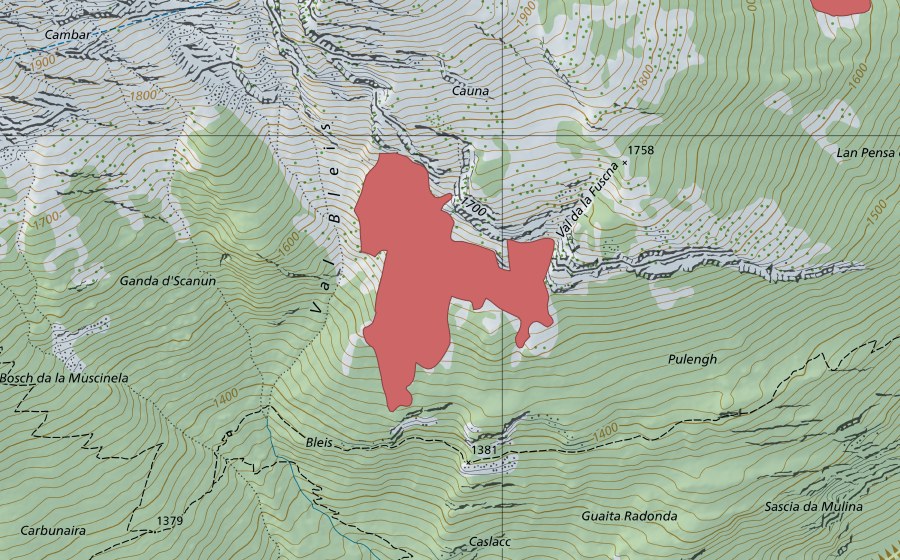 Landeskarte swisstopo mit dem Schutzperimeter von Bleis (Trockenwiese)
