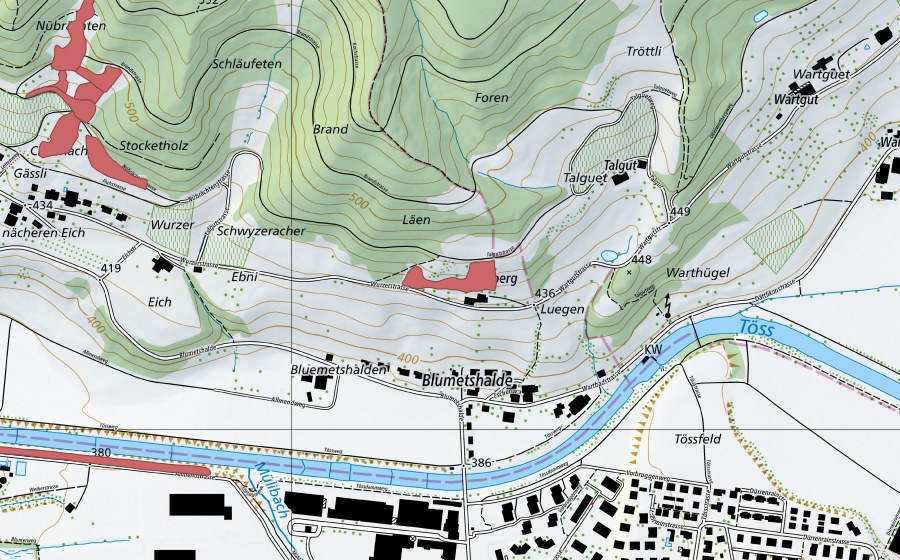 swisstopo national map showing the protected perimeter of Blumetshalde (Dry meadow)