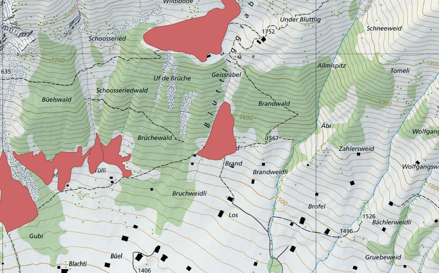Landeskarte swisstopo mit dem Schutzperimeter von Bluttliggrabe (Trockenwiese)