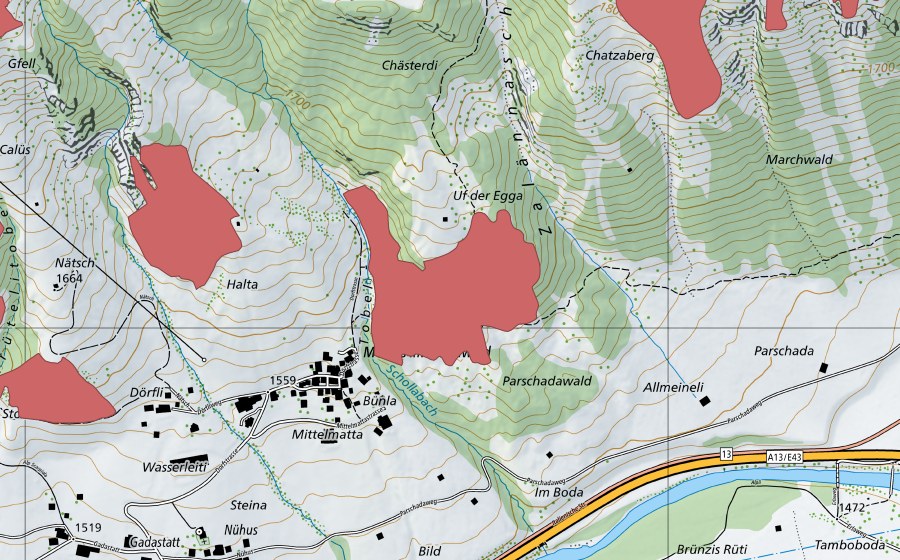 swisstopo national map showing the protected perimeter of Boda (Dry meadow)