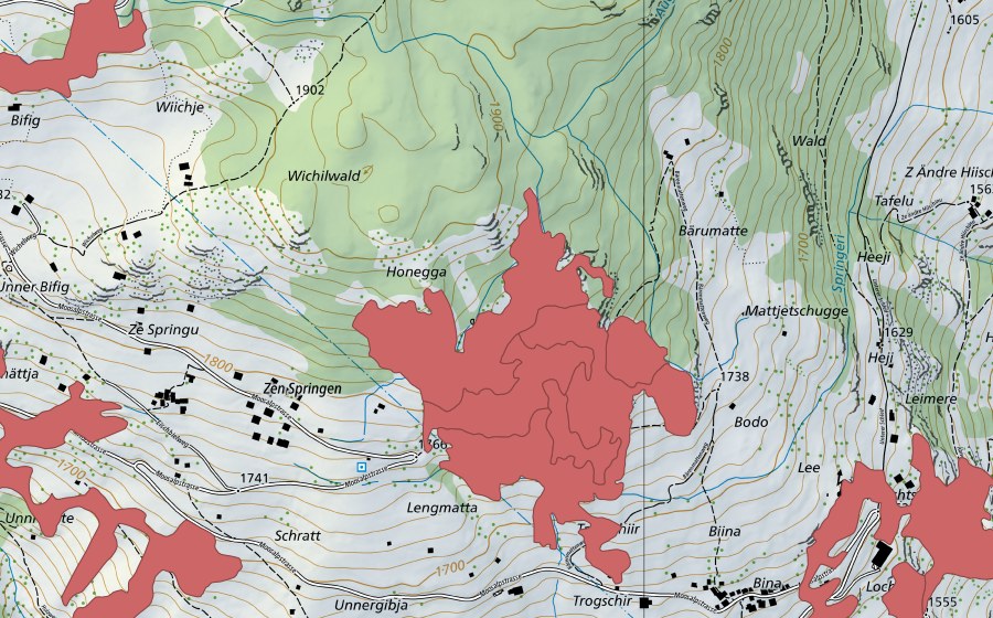 swisstopo national map showing the protected perimeter of Bode (Dry meadow)