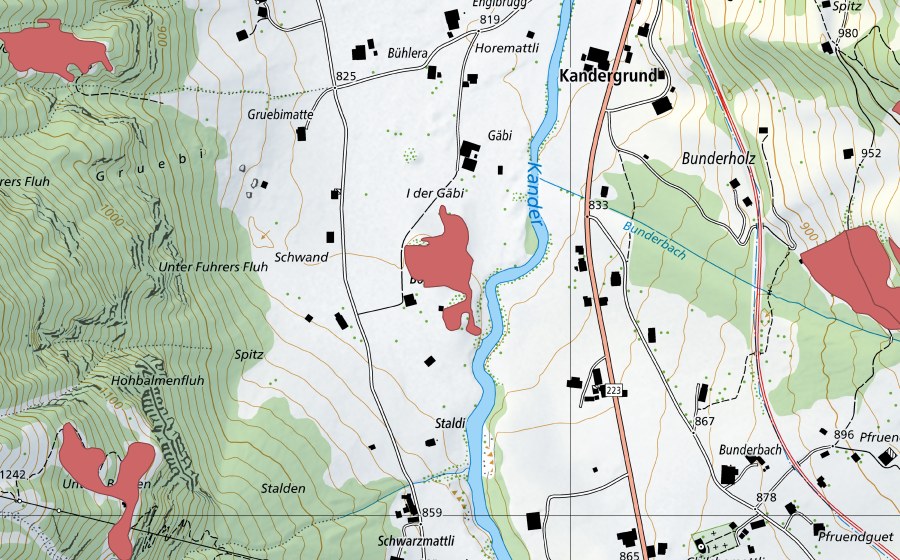Carta nazionale swisstopo con il perimetro protetto di Bodehus (Prato secco)