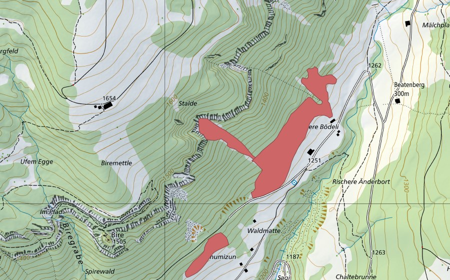 Carta nazionale swisstopo con il perimetro protetto di Bödeli (Prato secco)