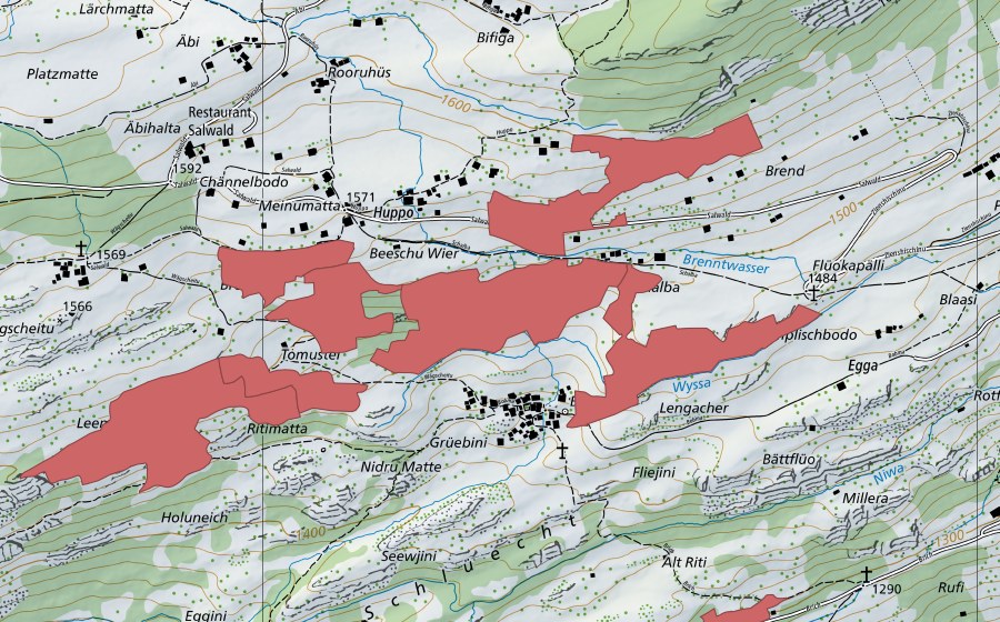 swisstopo national map showing the protected perimeter of Bodma (Dry meadow)