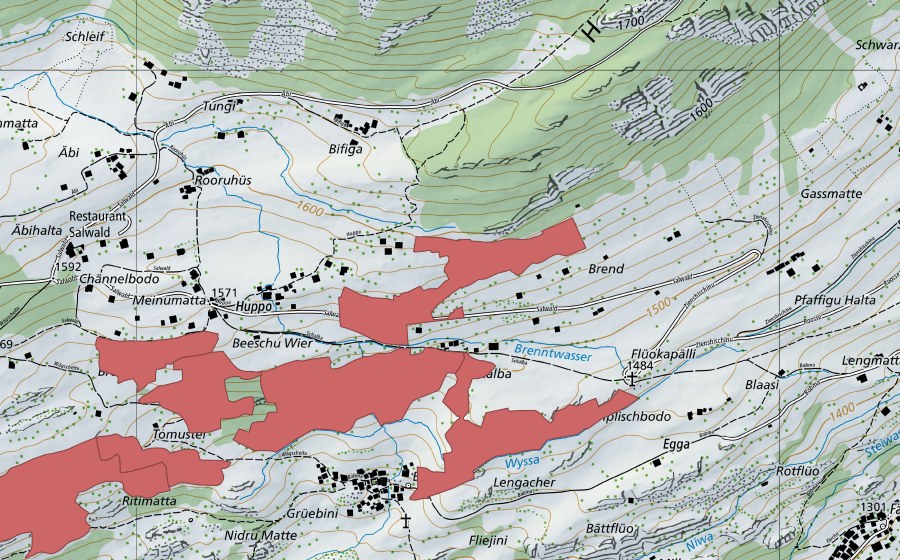 Landeskarte swisstopo mit dem Schutzperimeter von Bodma (Trockenwiese)