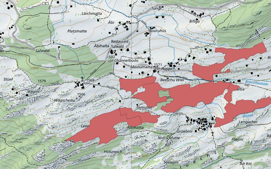 Landeskarte swisstopo mit dem Schutzperimeter von Bodma (Trockenwiese)