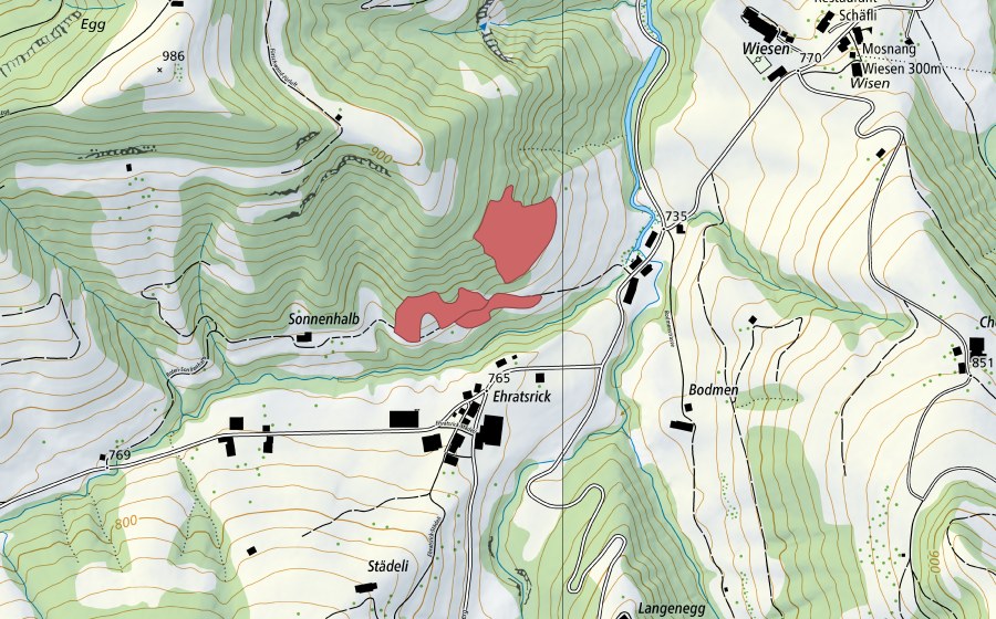 Landeskarte swisstopo mit dem Schutzperimeter von Bodmen (Trockenwiese)