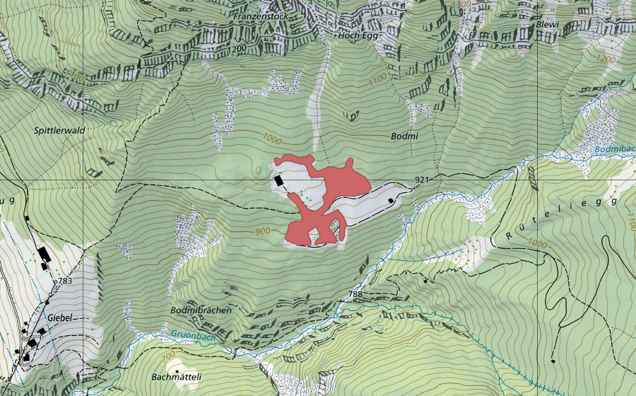 Carte nationale swisstopo avec le périmètre protégé de Bodmi (Prairie sèche)