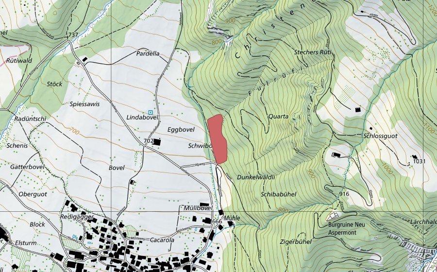 Landeskarte swisstopo mit dem Schutzperimeter von Bofel (Trockenwiese)