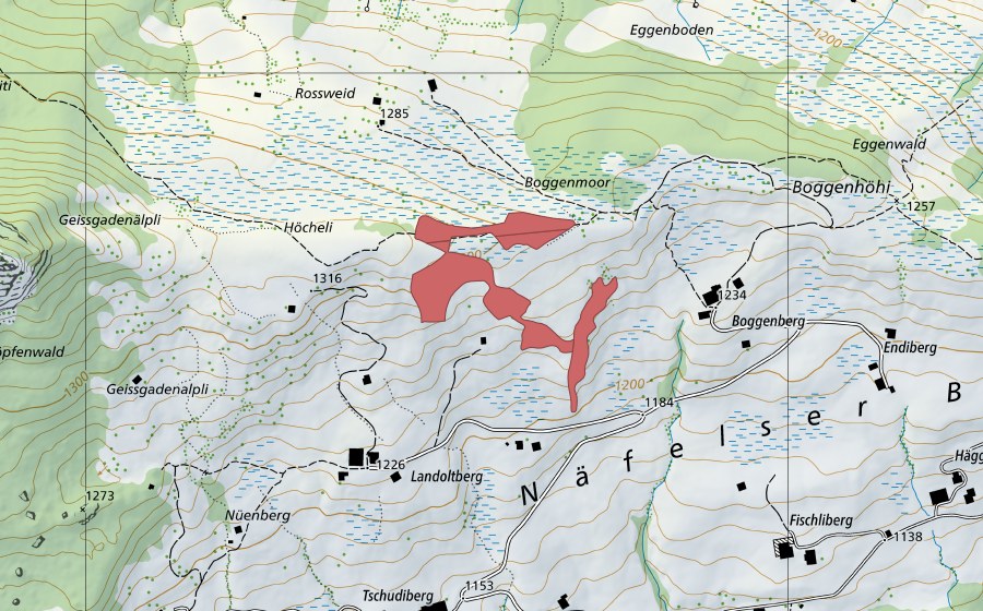 Carte nationale swisstopo avec le périmètre protégé de Boggenberg (Prairie sèche)