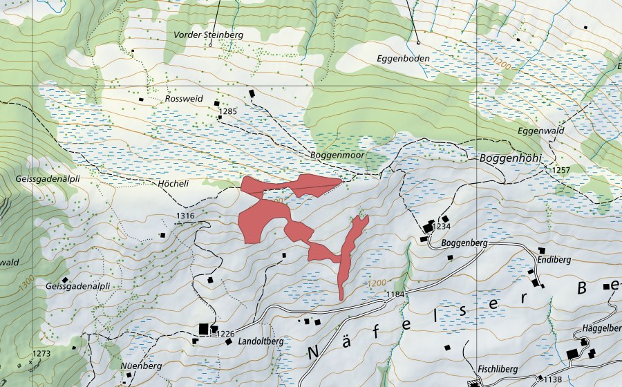 Landeskarte swisstopo mit dem Schutzperimeter von Boggenberg (Trockenwiese)