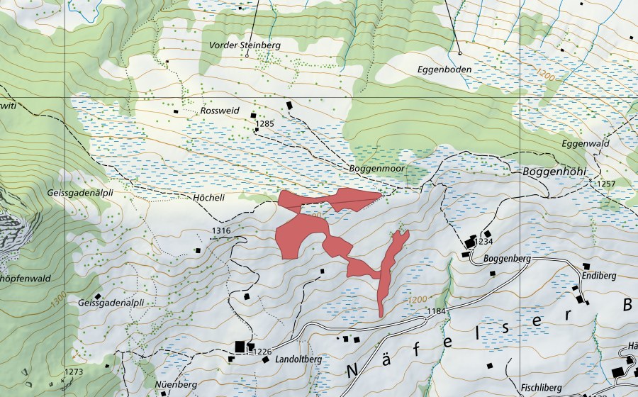 swisstopo national map showing the protected perimeter of Boggenberg (Dry meadow)