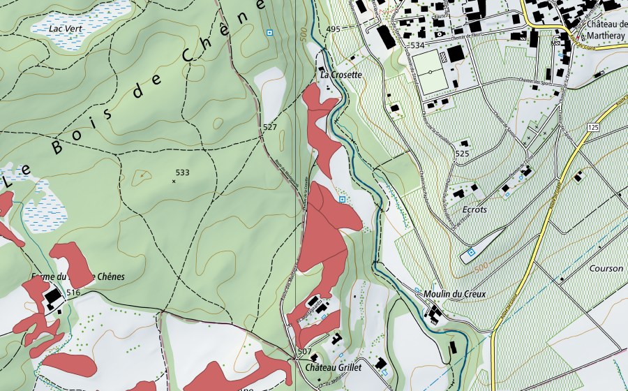 swisstopo national map showing the protected perimeter of Bois de Chênes (Dry meadow)