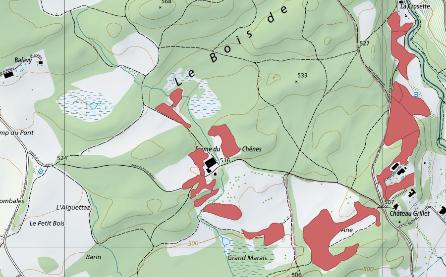 Carta nazionale swisstopo con il perimetro protetto di Bois de Chênes (Prato secco)