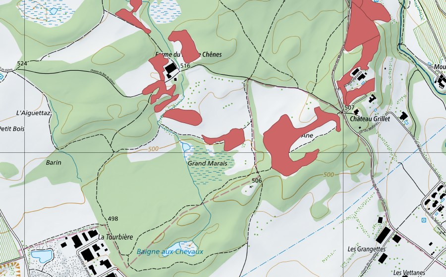 Landeskarte swisstopo mit dem Schutzperimeter von Bois de Chênes (Trockenwiese)