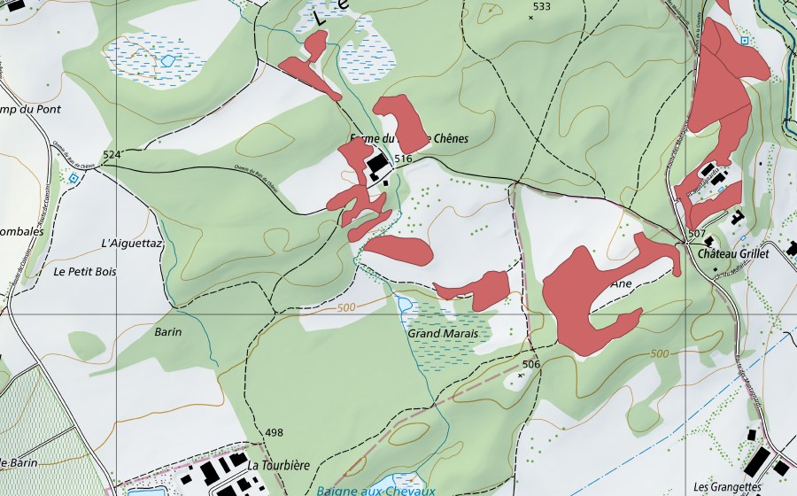 Carta nazionale swisstopo con il perimetro protetto di Bois de Chênes (Prato secco)