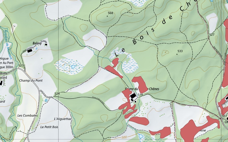 swisstopo national map showing the protected perimeter of Bois de Chênes (Dry meadow)