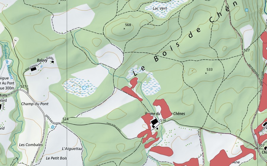 Landeskarte swisstopo mit dem Schutzperimeter von Bois de Chênes (Trockenwiese)
