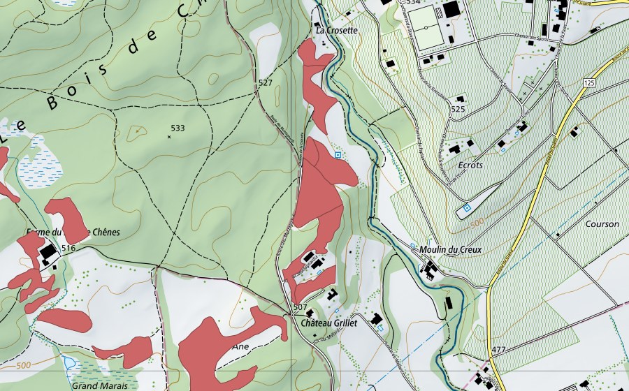 Carta nazionale swisstopo con il perimetro protetto di Bois de Chênes (Prato secco)