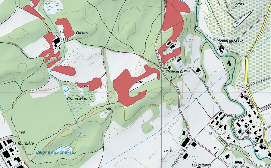 swisstopo national map showing the protected perimeter of Bois de Chênes (Dry meadow)
