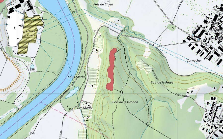 Carte nationale swisstopo avec le périmètre protégé de Bois de la Pesse (Prairie sèche)