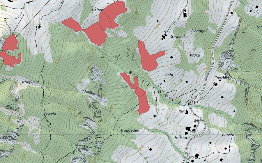 swisstopo national map showing the protected perimeter of Bol (Dry meadow)