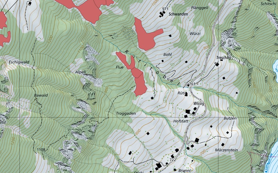 swisstopo national map showing the protected perimeter of Bol (Dry meadow)