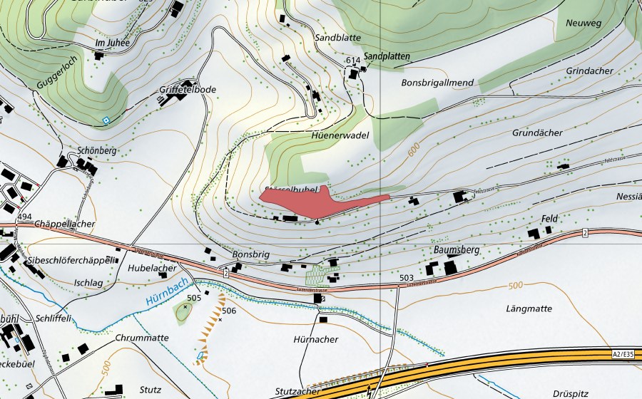 swisstopo national map showing the protected perimeter of Bonsbrig (Dry meadow)