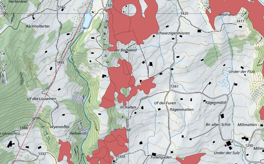 swisstopo national map showing the protected perimeter of Bort (Dry meadow)