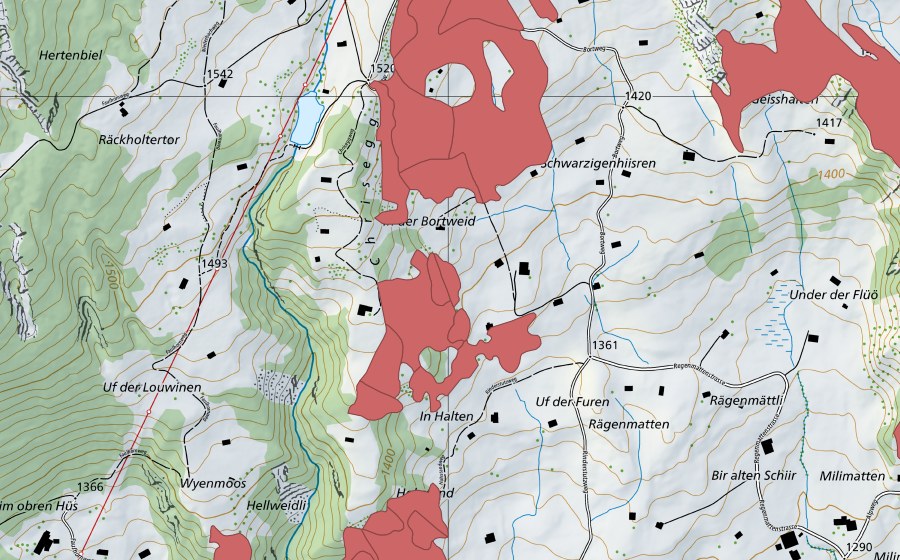 Landeskarte swisstopo mit dem Schutzperimeter von Bort (Trockenwiese)