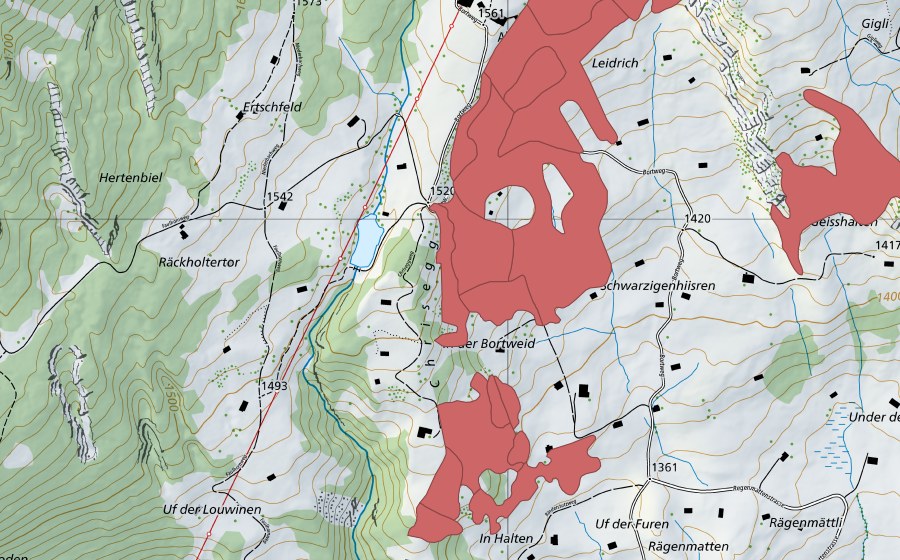 Carta nazionale swisstopo con il perimetro protetto di Bort (Prato secco)