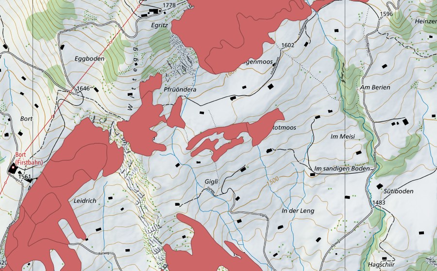 Landeskarte swisstopo mit dem Schutzperimeter von Bort (Trockenwiese)