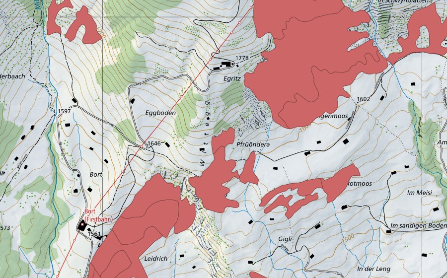 Carte nationale swisstopo avec le périmètre protégé de Bort (Prairie sèche)
