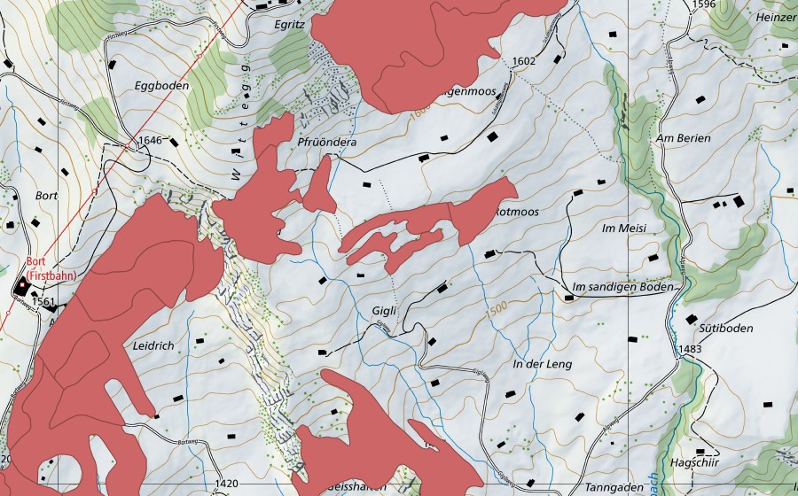 swisstopo national map showing the protected perimeter of Bort (Dry meadow)