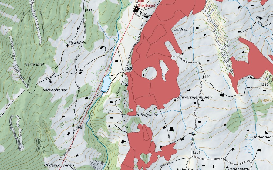 Carte nationale swisstopo avec le périmètre protégé de Bort (Prairie sèche)