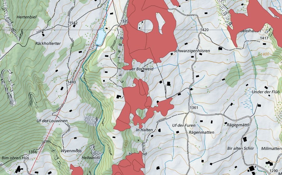 Carta nazionale swisstopo con il perimetro protetto di Bort (Prato secco)
