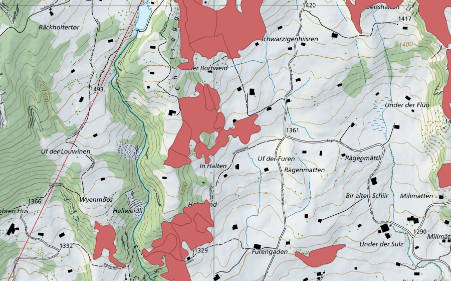 Landeskarte swisstopo mit dem Schutzperimeter von Bort (Trockenwiese)