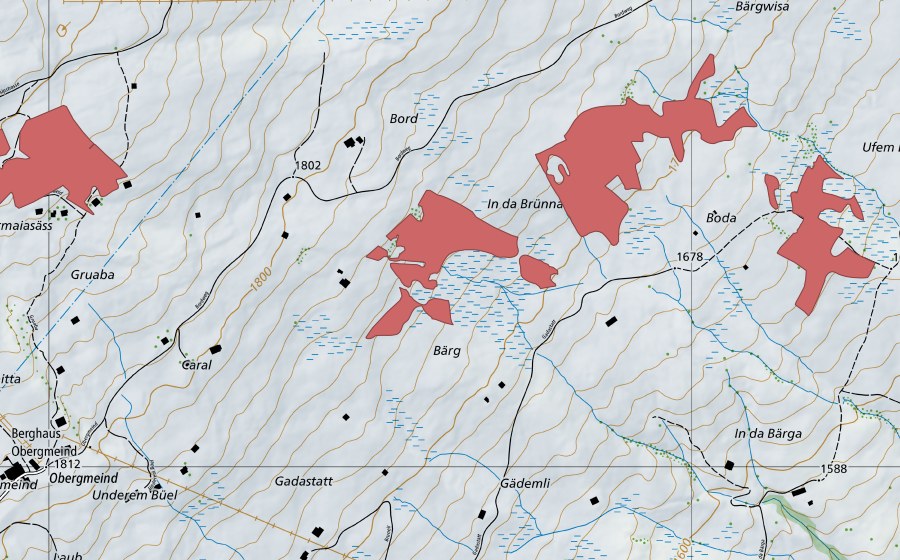 swisstopo national map showing the protected perimeter of Börter (Dry meadow)