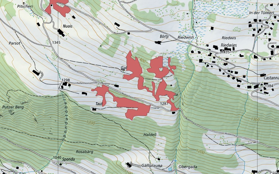 swisstopo national map showing the protected perimeter of Börtji (Dry meadow)
