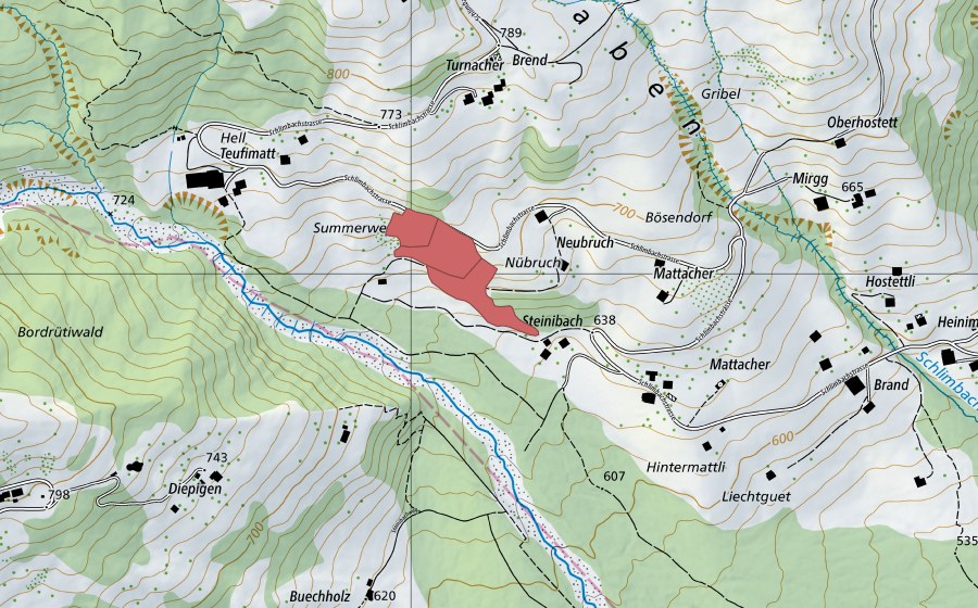 Landeskarte swisstopo mit dem Schutzperimeter von Bösendorf (Trockenwiese)