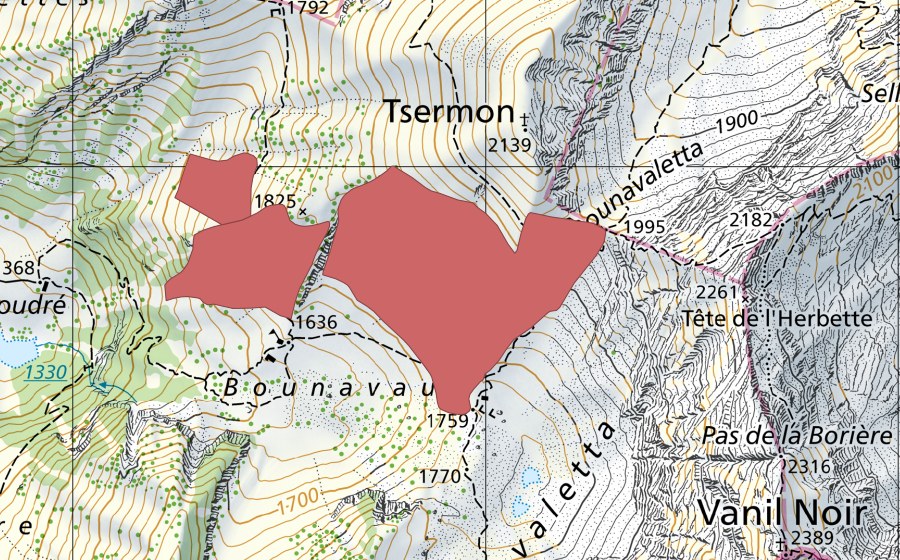 swisstopo national map showing the protected perimeter of Bounavaux (Dry meadow)