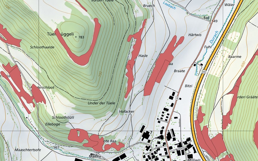 Carte nationale swisstopo avec le périmètre protégé de Braaten (Prairie sèche)