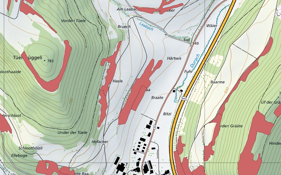 swisstopo national map showing the protected perimeter of Braaten (Dry meadow)