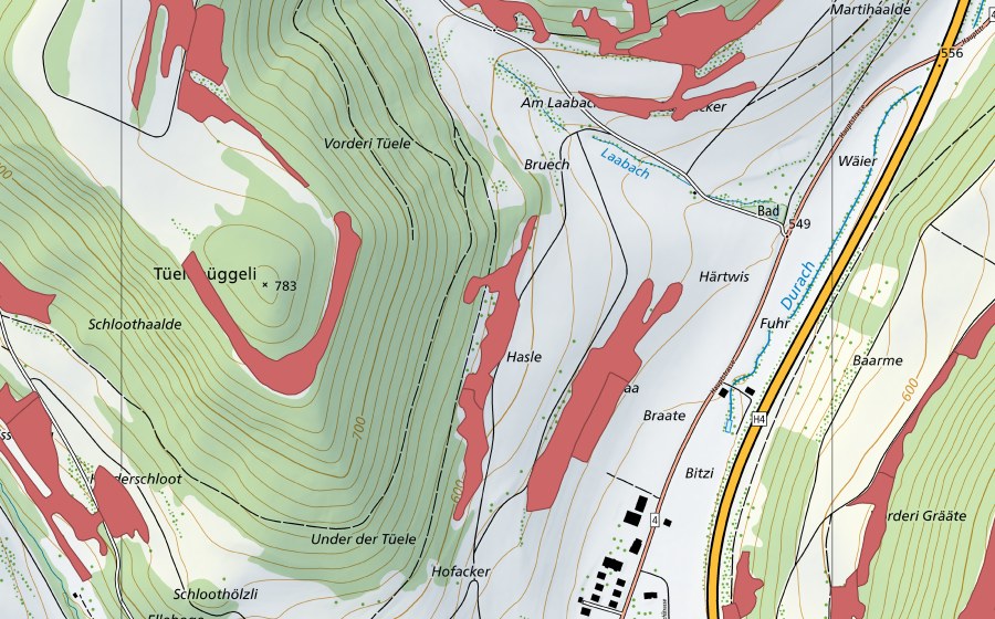 swisstopo national map showing the protected perimeter of Braaten (Dry meadow)