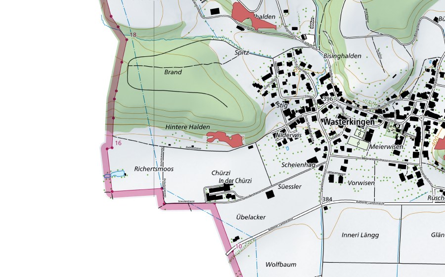 swisstopo national map showing the protected perimeter of Brand (Dry meadow)