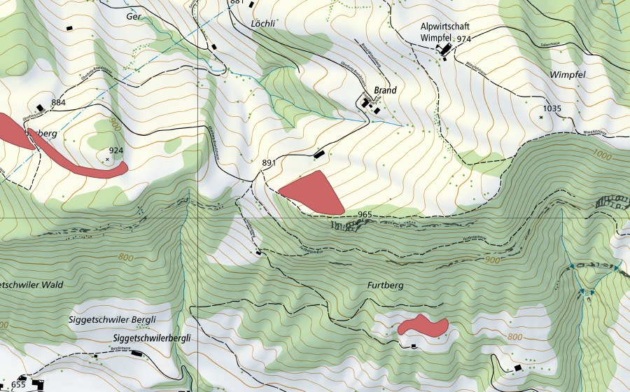 Landeskarte swisstopo mit dem Schutzperimeter von Brand (Trockenwiese)